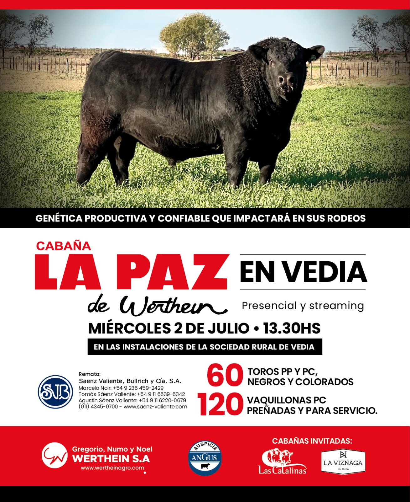 Imagen de La Paz